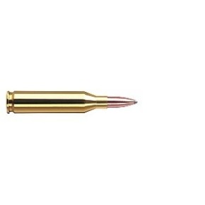Munitions 243 Winchester RWS TMS
