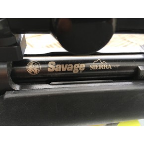 Carabine Savage mod110 243win + lunette et jeux d'outils