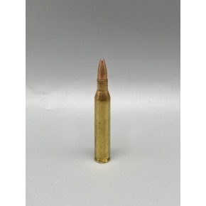 Munition Remington Express Core Lokt 25-06 REM