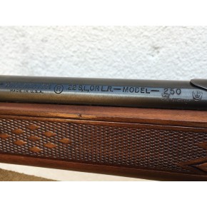 Winchester Model 250 Calibre 22Lr Catégorie B