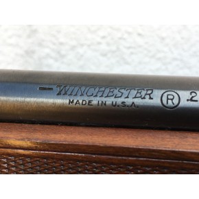 Winchester Model 250 Calibre 22Lr Catégorie B