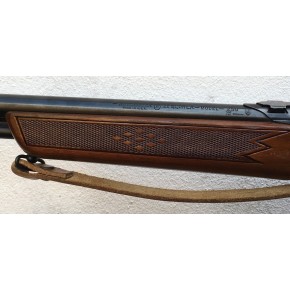 Winchester Model 250 Calibre 22Lr Catégorie B