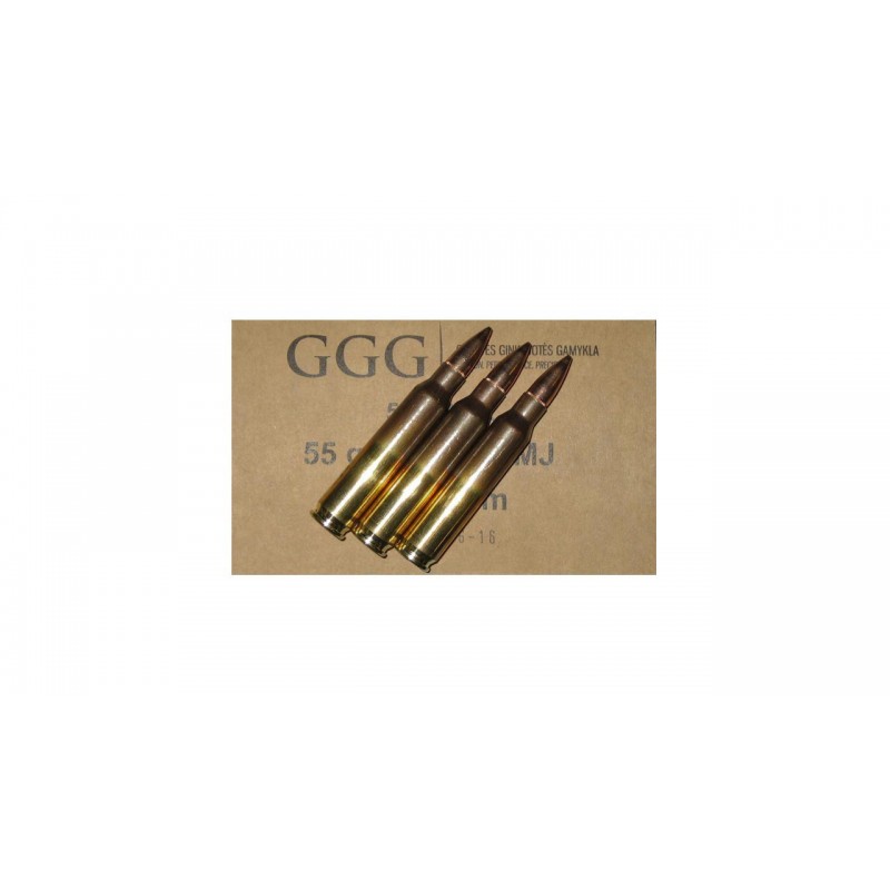 Munitions 223 Rem FMJ 55GR - GGG